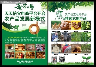 “绿色田野，品质之选——农副产品宣传单设计指南”